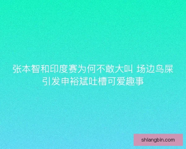张本智和印度赛为何不敢大叫 场边鸟屎引发申裕斌吐槽可爱趣事