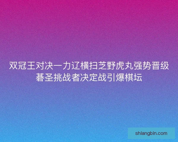 双冠王对决一力辽横扫芝野虎丸强势晋级碁圣挑战者决定战引爆棋坛